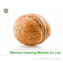 Walnut Kernels lichte stukken te koop